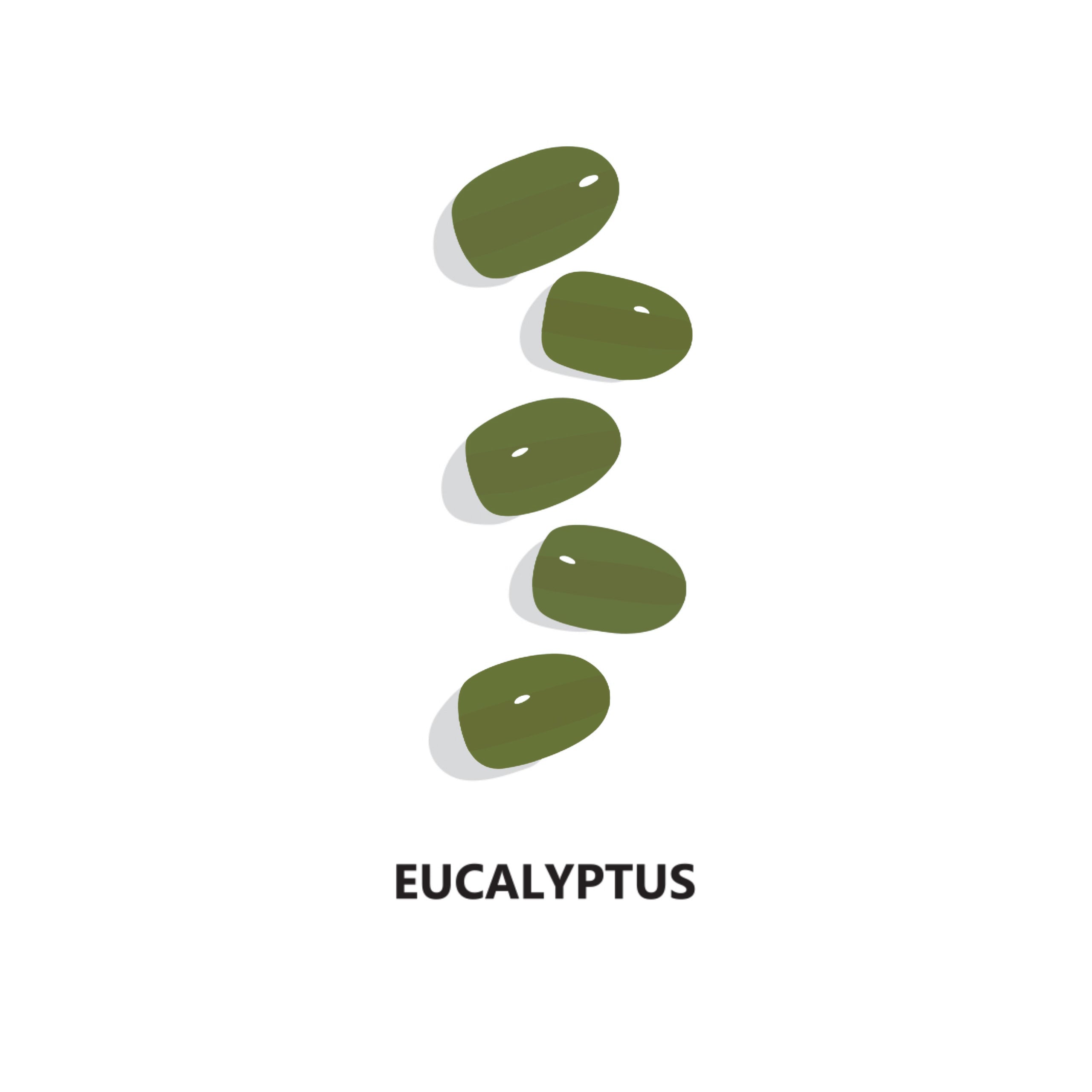 Eucalyptus Semicured Gel Nail Wraps